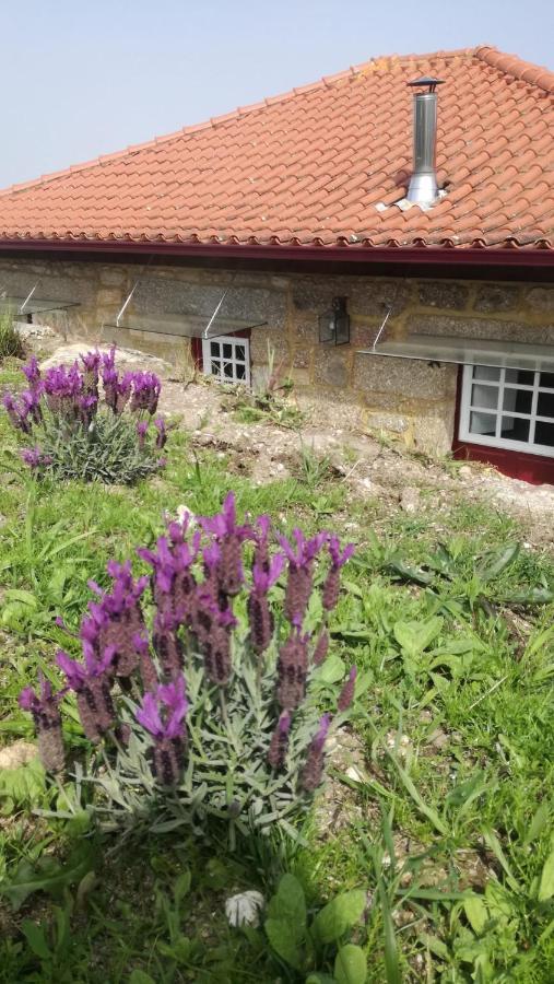 Casa Do Rancho - Turismo Rural Paranhos  Luaran gambar